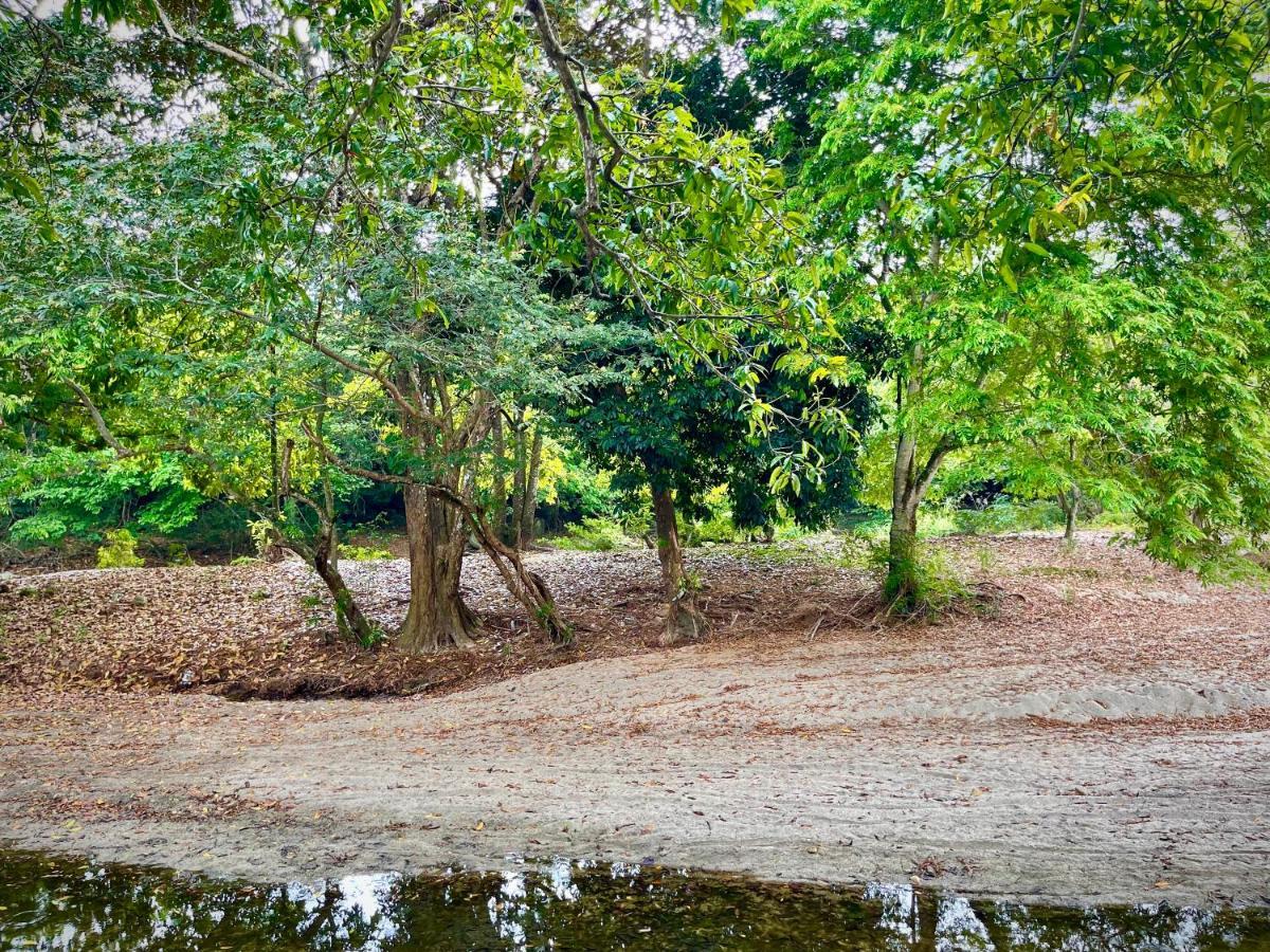 Tayrona Suites El Zaino Bagian luar foto